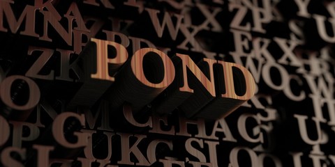 Pond - Wooden 3D rendered letters/message.  Can be used for an online banner ad or a print postcard.