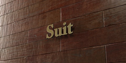 Suit - Bronze plaque mounted on maple wood wall  - 3D rendered royalty free stock picture. This image can be used for an online website banner ad or a print postcard.