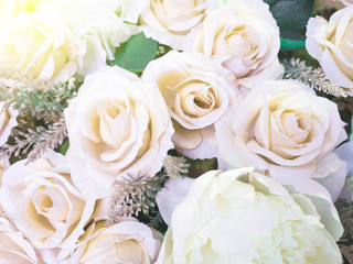 Abstract background of flowers. Close-up.