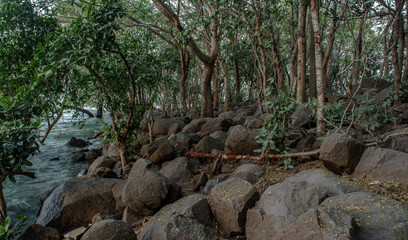 rocks