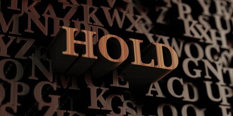 Hold - Wooden 3D rendered letters/message.  Can be used for an online banner ad or a print postcard.