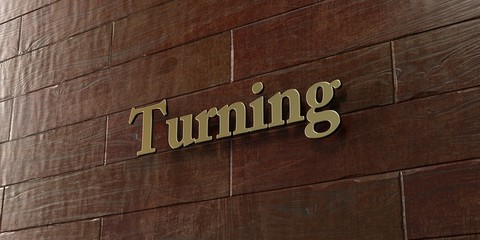 Turning - Bronze plaque mounted on maple wood wall  - 3D rendered royalty free stock picture. This image can be used for an online website banner ad or a print postcard.