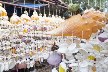 Mobile made from seashells for decoration