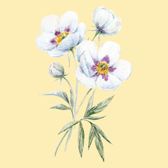 Naklejka premium Watercolor floral bouquet