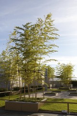 HOTEL GRANVIA KYOTO Japan