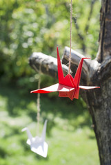 Origami cranes in the garden