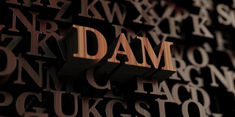 Dam - Wooden 3D rendered letters/message.  Can be used for an online banner ad or a print postcard.