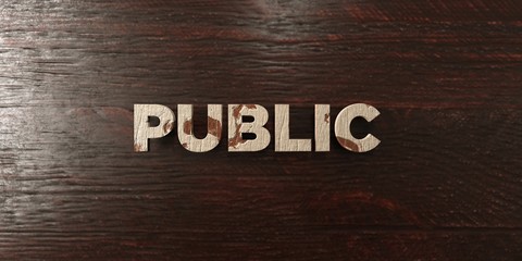 Public - grungy wooden headline on Maple  - 3D rendered royalty free stock image. This image can be used for an online website banner ad or a print postcard.