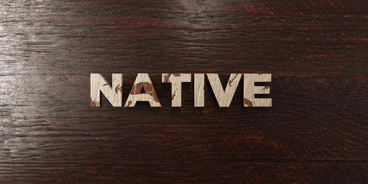 Native - grungy wooden headline on Maple  - 3D rendered royalty free stock image. This image can be used for an online website banner ad or a print postcard.