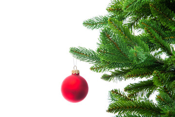 Isolated Christmas tree on white