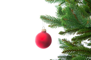 Isolated Christmas tree on white