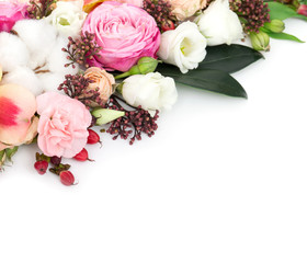 Elegant flowers on white background