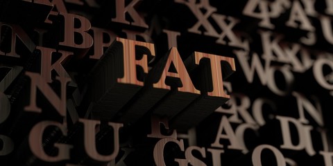 Fat - Wooden 3D rendered letters/message.  Can be used for an online banner ad or a print postcard.