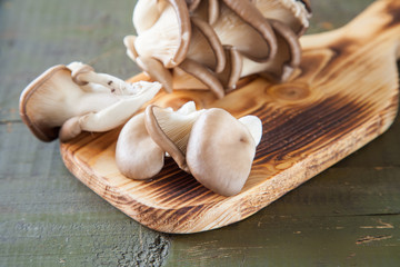 oyster mushroom mushroom on a table, selective focus