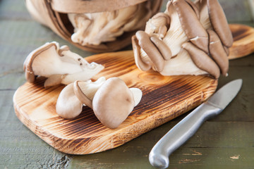 oyster mushroom mushroom on a table, selective focus