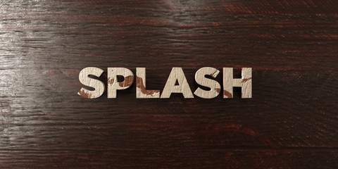 Fototapeta premium Splash - grungy wooden headline on Maple - 3D rendered royalty free stock image. This image can be used for an online website banner ad or a print postcard.