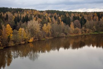Fototapeta na wymiar Aerial view of autumn forest and a river in cloudy weather.