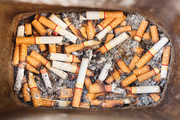 Cigarette butts in trash bin