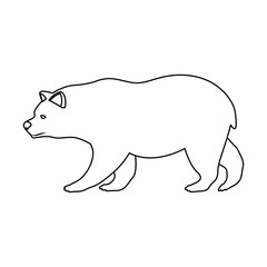 Bear icon. Animal wild nature wildlife and character theme. Isolated design. Vector illustration