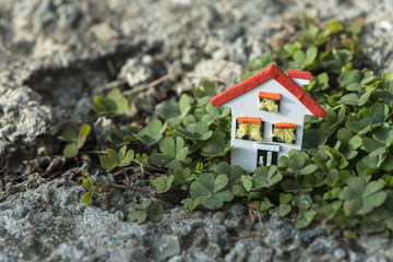 Obraz na płótnie Canvas House miniature and green plants.