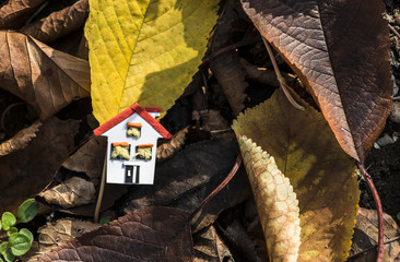 House miniature and autumn leaves. Paper house