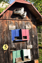 Fototapety na wymiar - Fototapeta24.pl