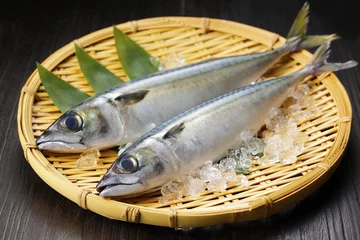  鯖　Mackerel © Nishihama