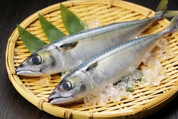 Rolgordijnen 鯖　Mackerel © Nishihama