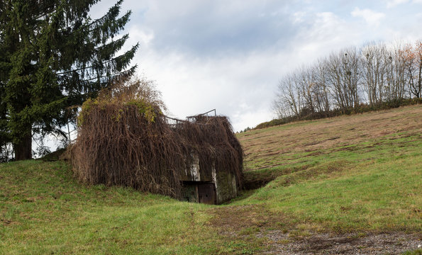 Bunker- Westwall