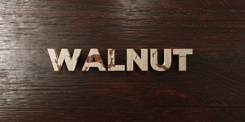 Walnut - grungy wooden headline on Maple  - 3D rendered royalty free stock image. This image can be used for an online website banner ad or a print postcard.