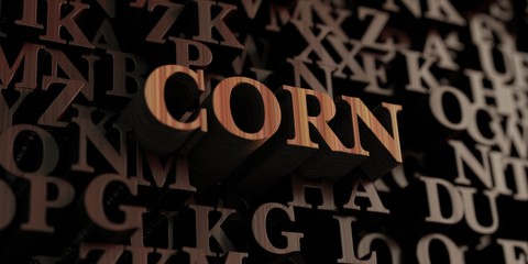 Corn - Wooden 3D rendered letters/message.  Can be used for an online banner ad or a print postcard.