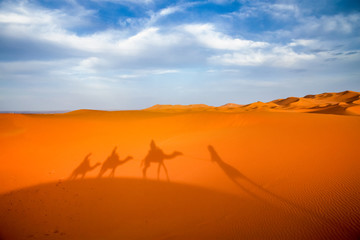 Fototapeta na wymiar Shadow of a caravan on sand dunes