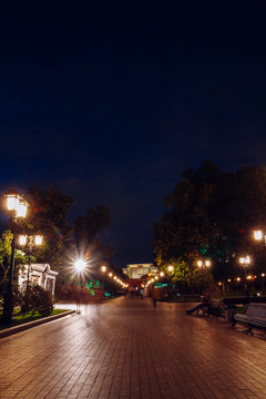 Night illumination in the Alexander Garden