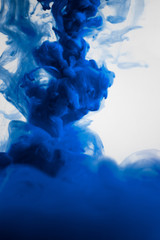 blue dye in water
 - obrazy, fototapety, plakaty