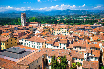 Fototapeta na wymiar Aerial view of ancient building with red roofs in Lucca, Italy