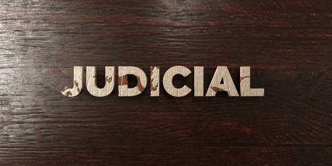 Judicial - grungy wooden headline on Maple  - 3D rendered royalty free stock image. This image can be used for an online website banner ad or a print postcard.