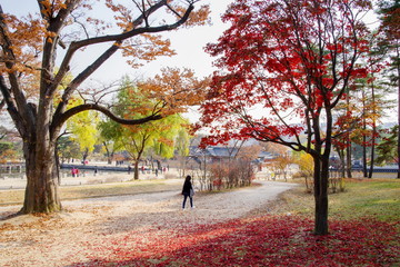 Fototapeta premium Nov 16, 2016 at Gyeongbokgung palace, Seoul , Korea