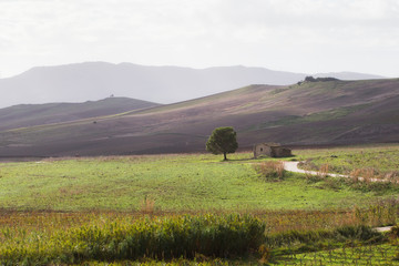 Obraz premium sicilian countryside