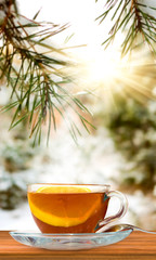 cup of tea on  snow-covered forest background