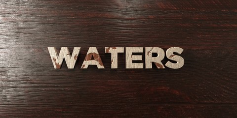 Waters - grungy wooden headline on Maple  - 3D rendered royalty free stock image. This image can be used for an online website banner ad or a print postcard.