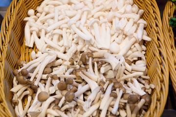 Various Mushroom types