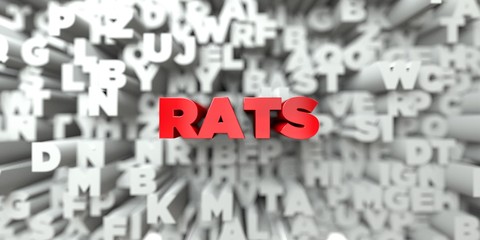 RATS -  Red text on typography background - 3D rendered royalty free stock image. This image can be used for an online website banner ad or a print postcard.