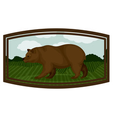 Bear inside frame icon. Animal wild nature wildlife and character theme. Isolated design. Vector illustration