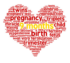 9 months. Word cloud, red heart, white background. The miracle of birth.
