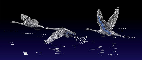 Obraz premium Łabędzie nad wodą