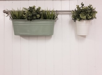 Tree in pots hang on white wall.
