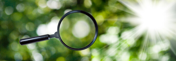 magnifying glass on green background closeup