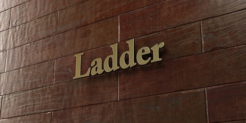 Ladder - Bronze plaque mounted on maple wood wall  - 3D rendered royalty free stock picture. This image can be used for an online website banner ad or a print postcard.