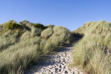 Læsø / Dänemark: Pfad durch die Dünenlandschaft zum Danzigmann-Strand