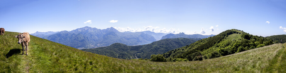 Panorama di campagna e montagne in primavera